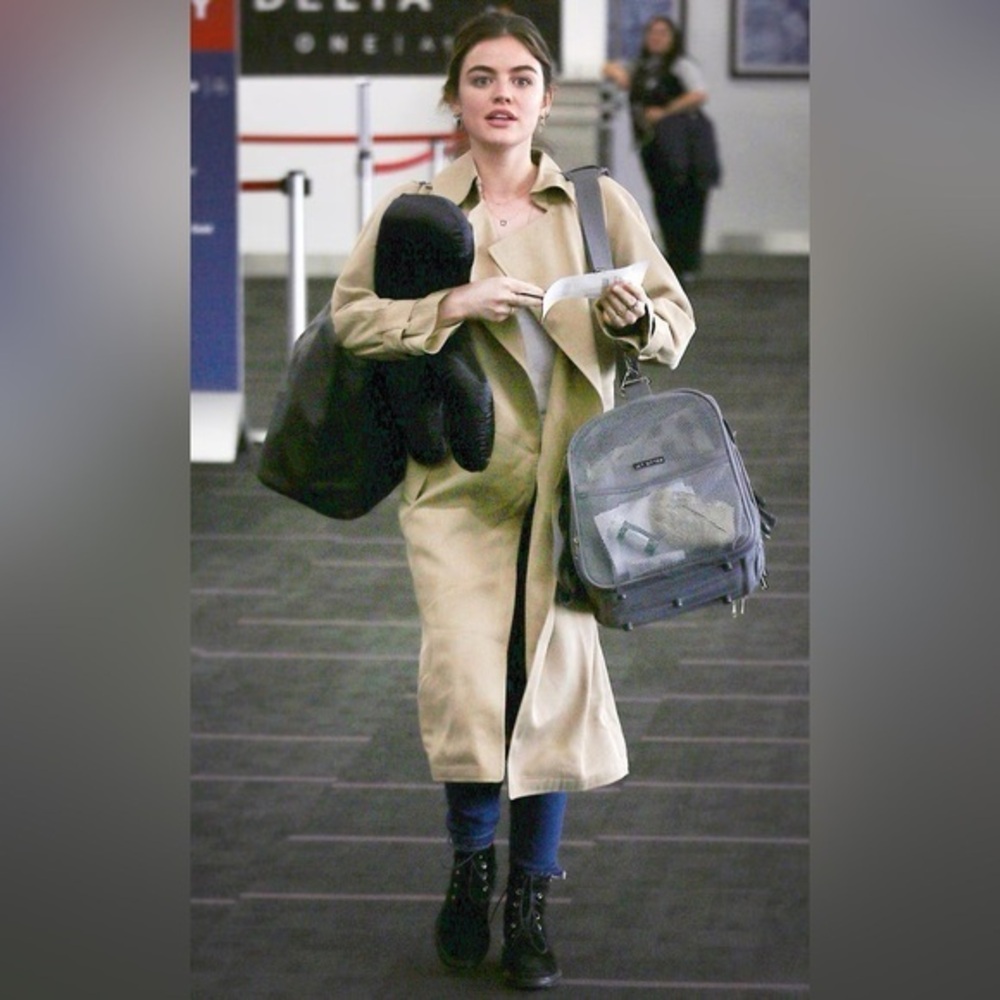 Aritzia Tan Women's Trench Coat